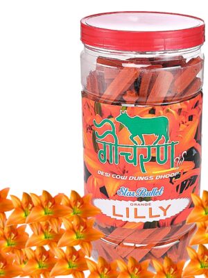 Orange Lili Dhoop