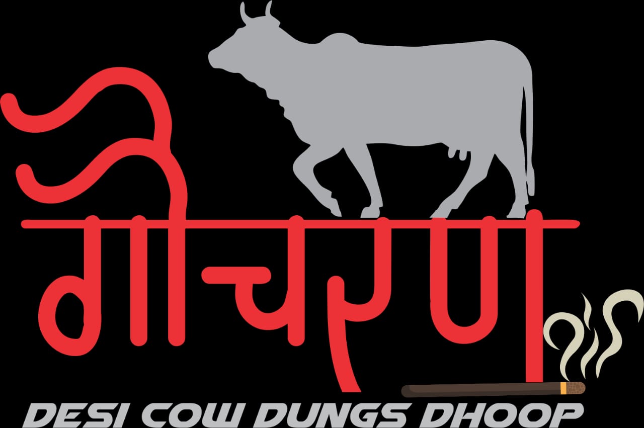 glowcows